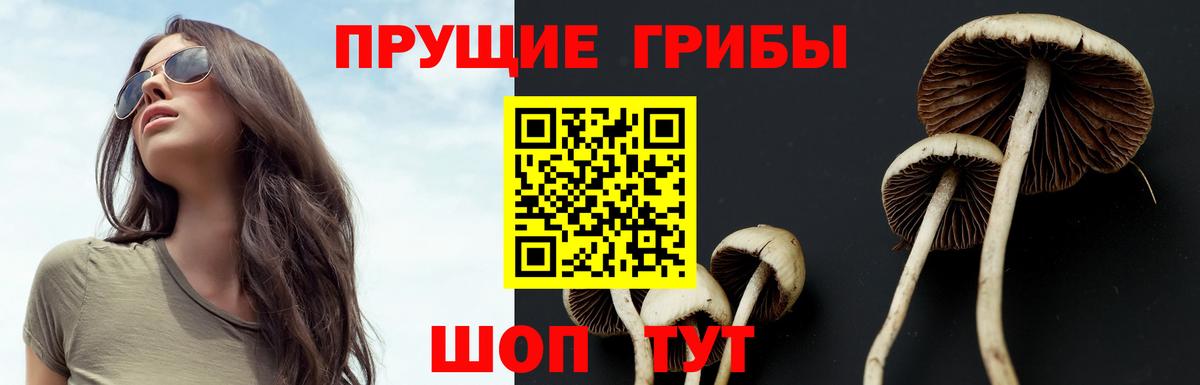 Галлюциногенные грибы мицелий Малгобек